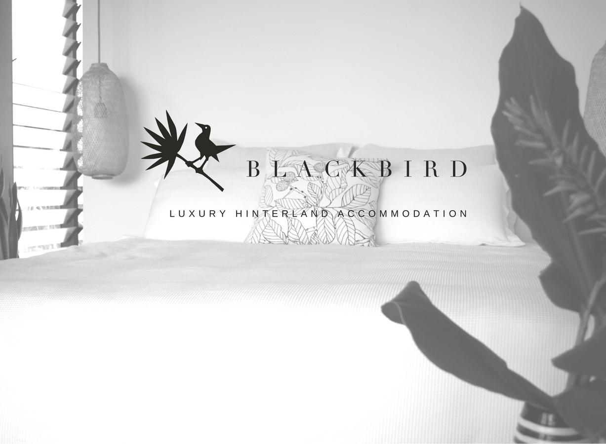 Blackbird Luxury Accommodation Mullumbimby Exterior foto